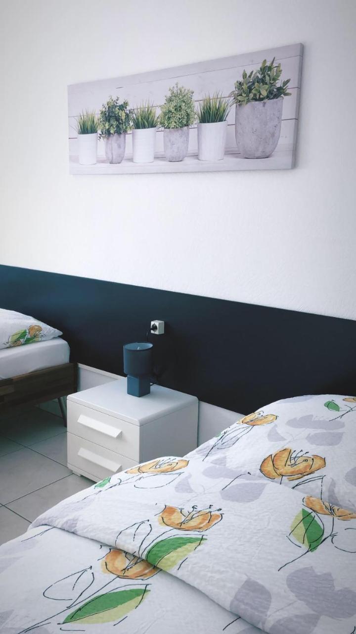 Studios Near Lycee Jean Mermoz Saint-Louis  Dış mekan fotoğraf